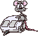 Rechte Maus - Download