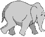 Rechte Maus - Download