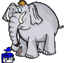 Rechte Maus - Download