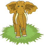 Rechte Maus - Download