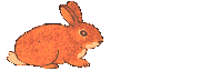 Rechte Maus - Download