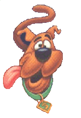 Rechte Maus - Download