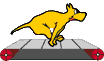 Rechte Maus - Download