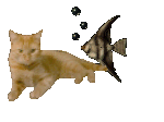Rechte Maus - Download