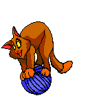 Rechte Maus - Download