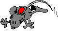 Rechte Maus - Download