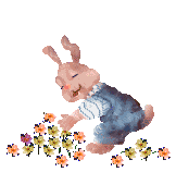 Rechte Maus - Download