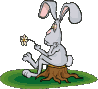 Rechte Maus - Download
