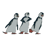 Rechte Maus - Download