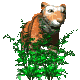 Rechte Maus - Download